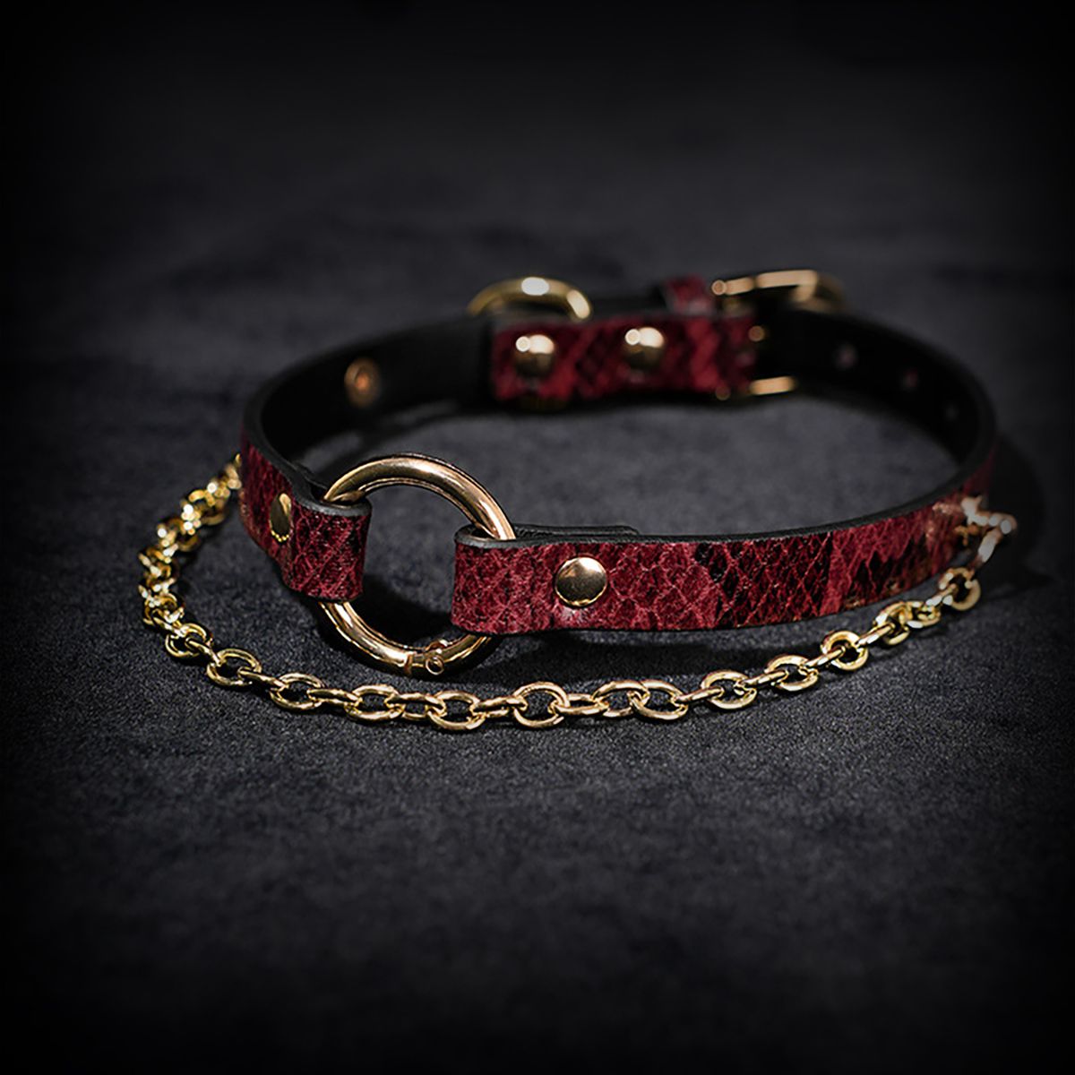 Daluse [Arlo] Gold Ring Chain Red Snake Pattern Leather Choker