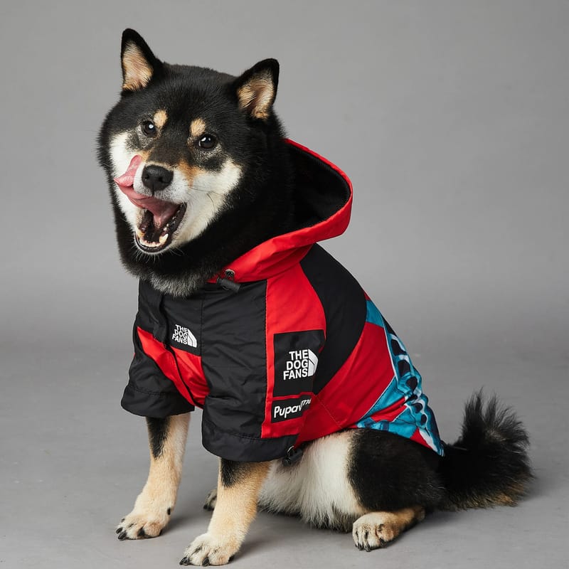 Dog Clothes Raincoat For Small Big Dogs Wind Coat Windbreaker French Bulldog Hoodie For Dogs Clothes Jacket Chihuahua
