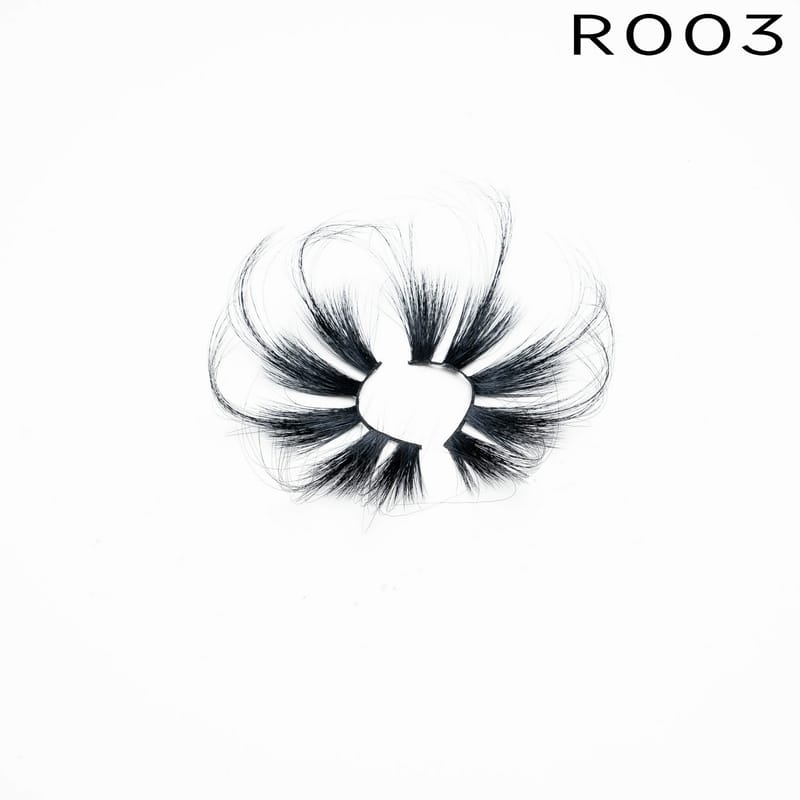 R003