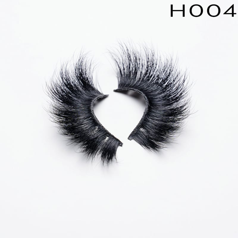 H004