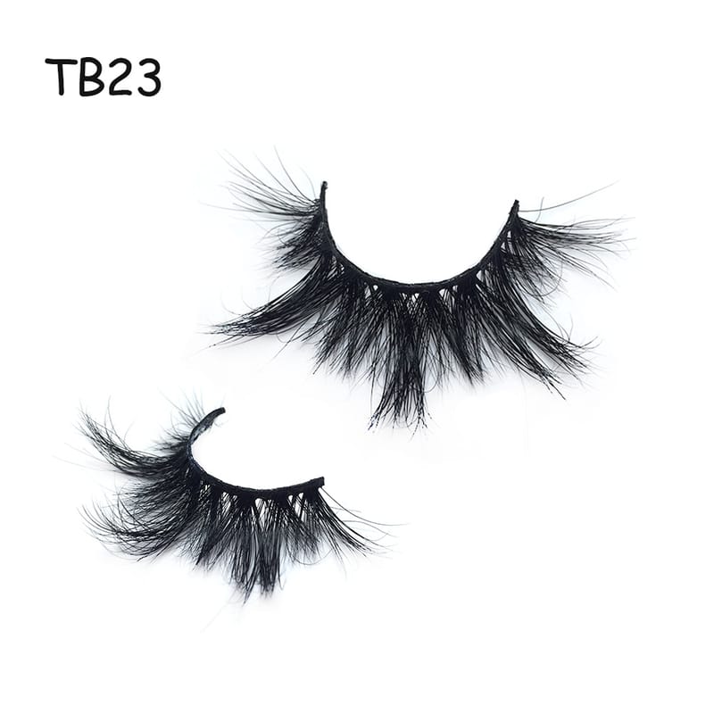 TB23