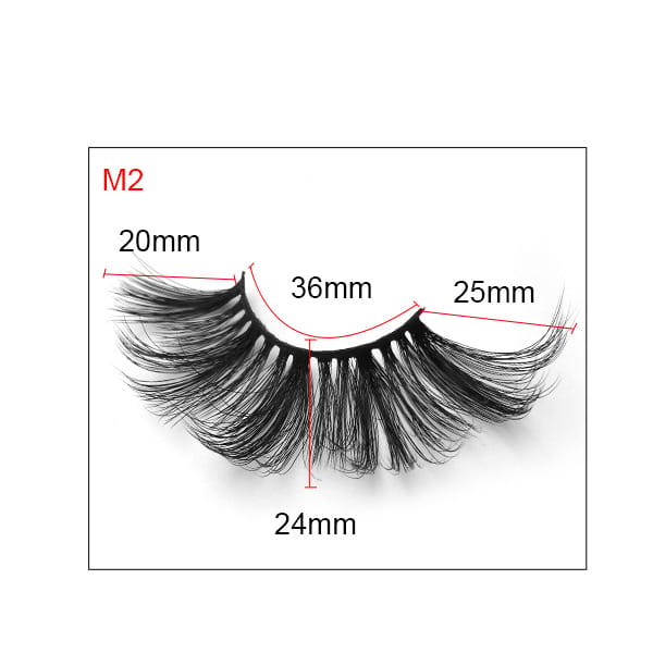 M2