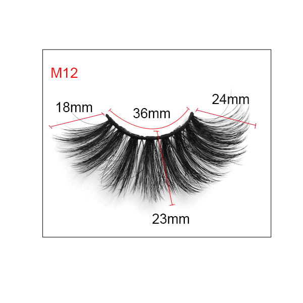 M12