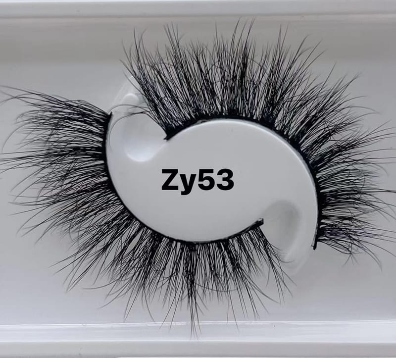 ZY53