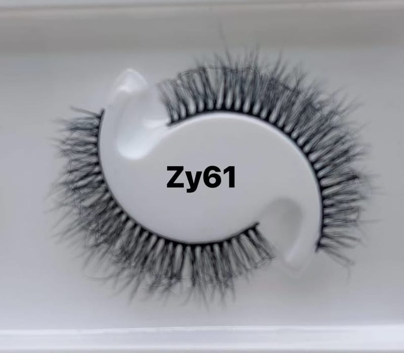 ZY61