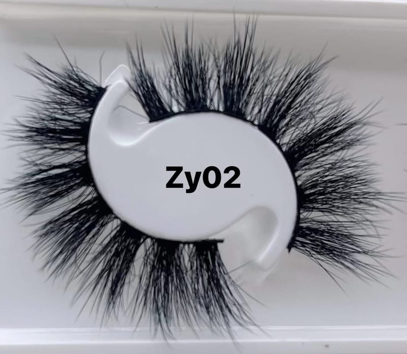 ZY02