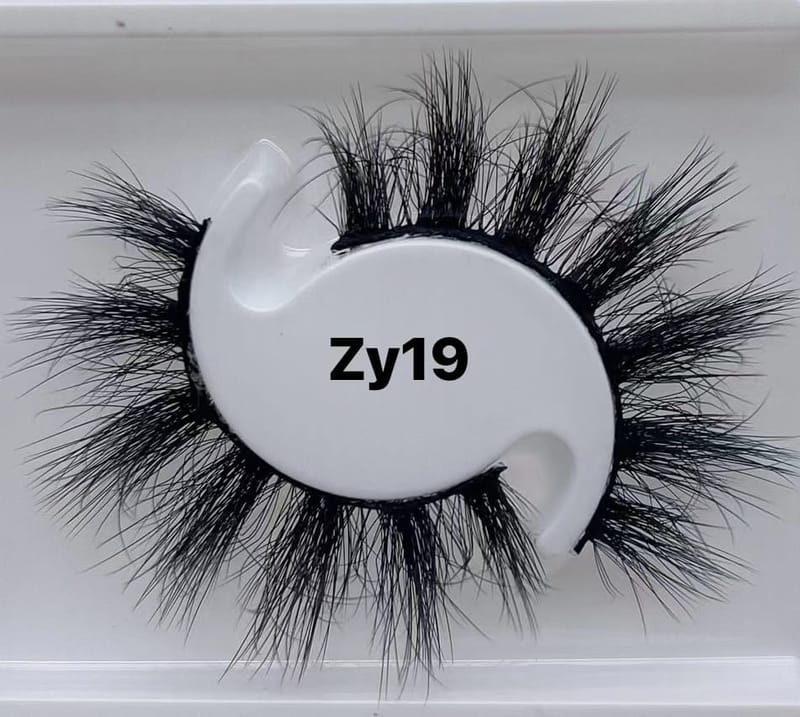 ZY19