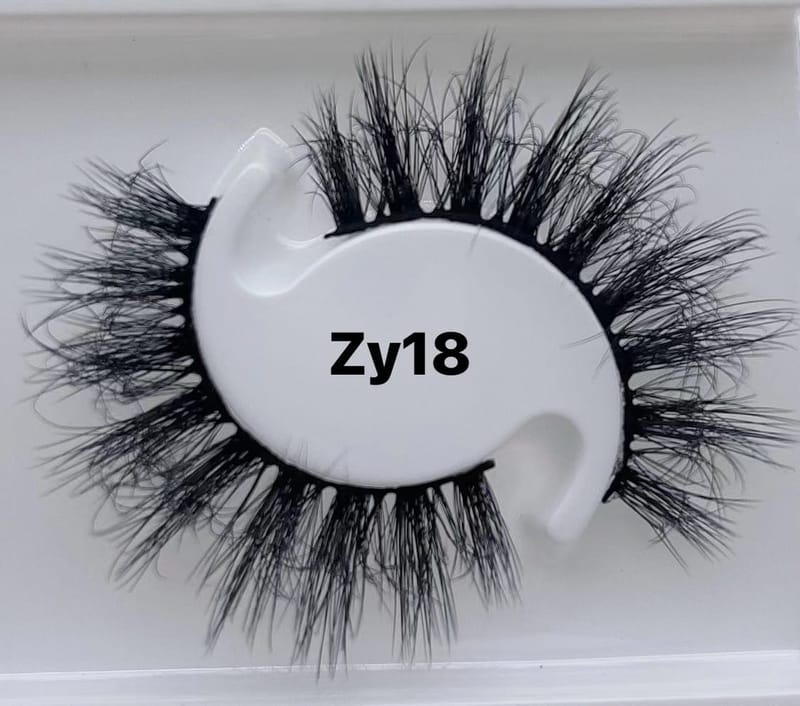 ZY18