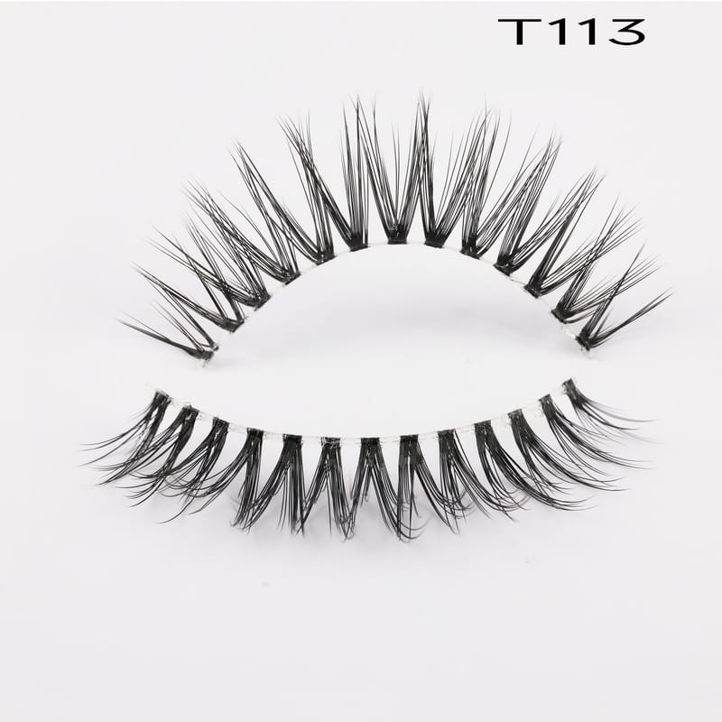 T113
