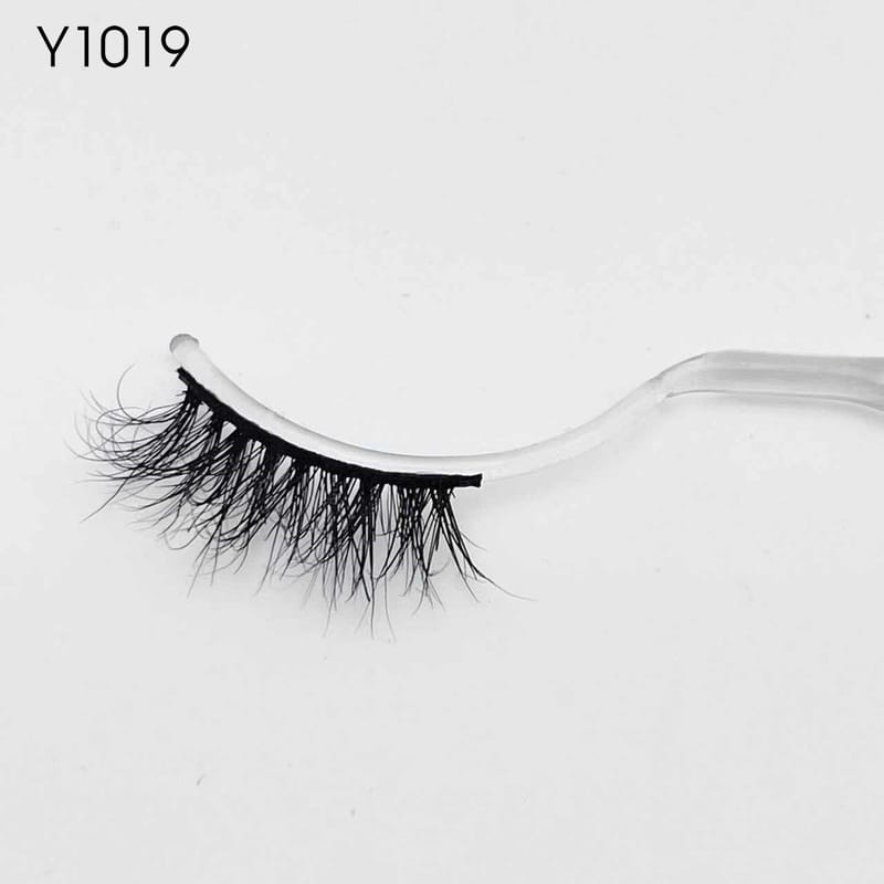 Y1019