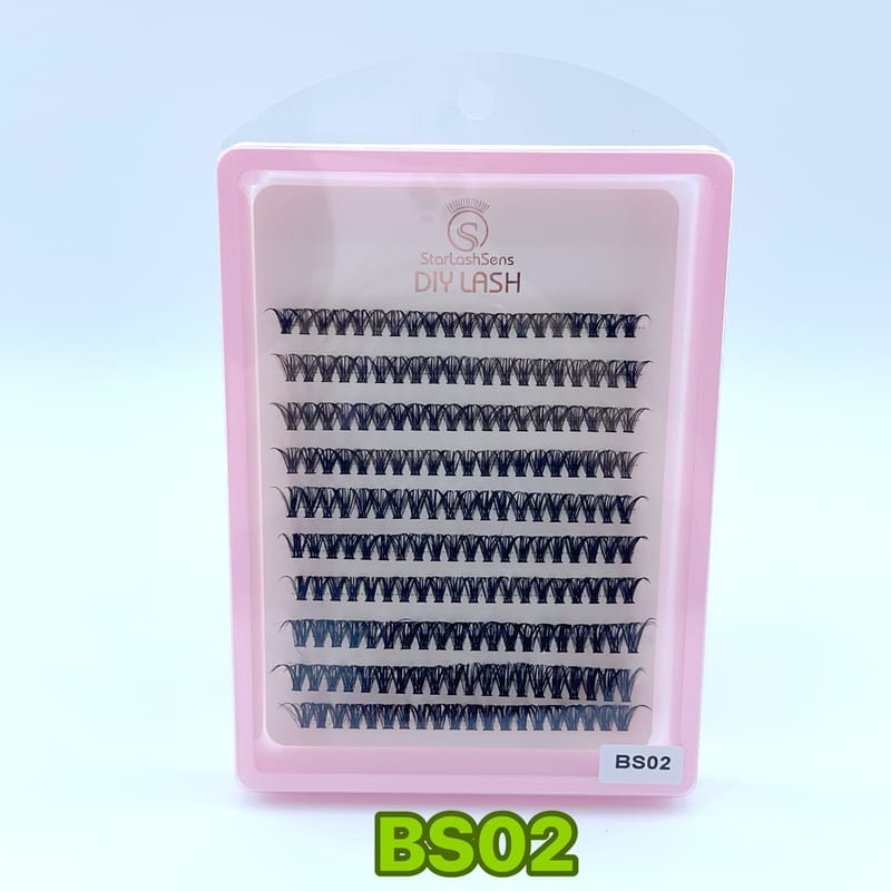 BS02