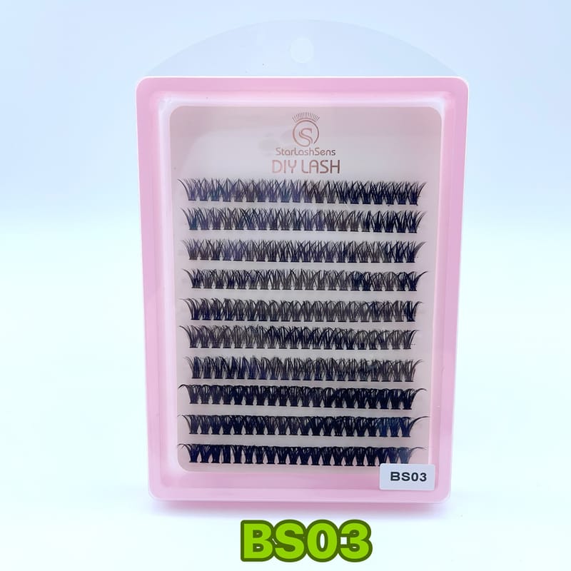 BS03