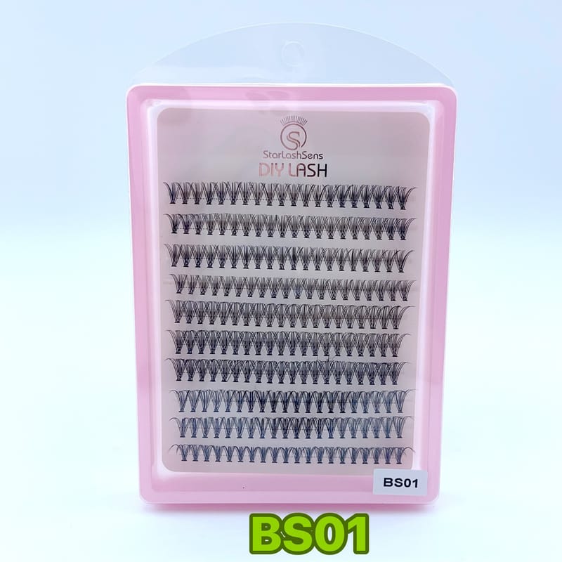 BS01
