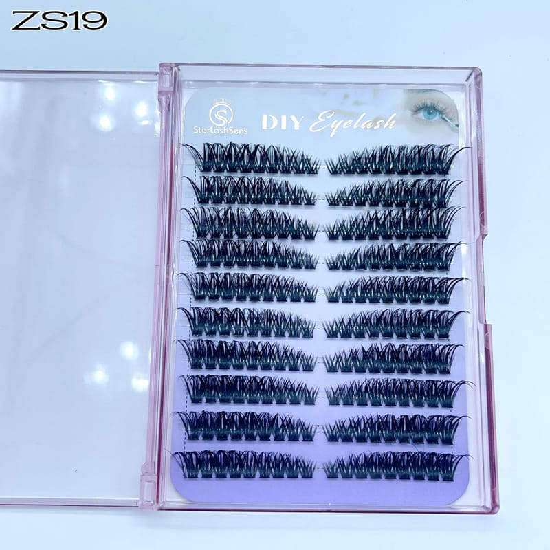 ZS19