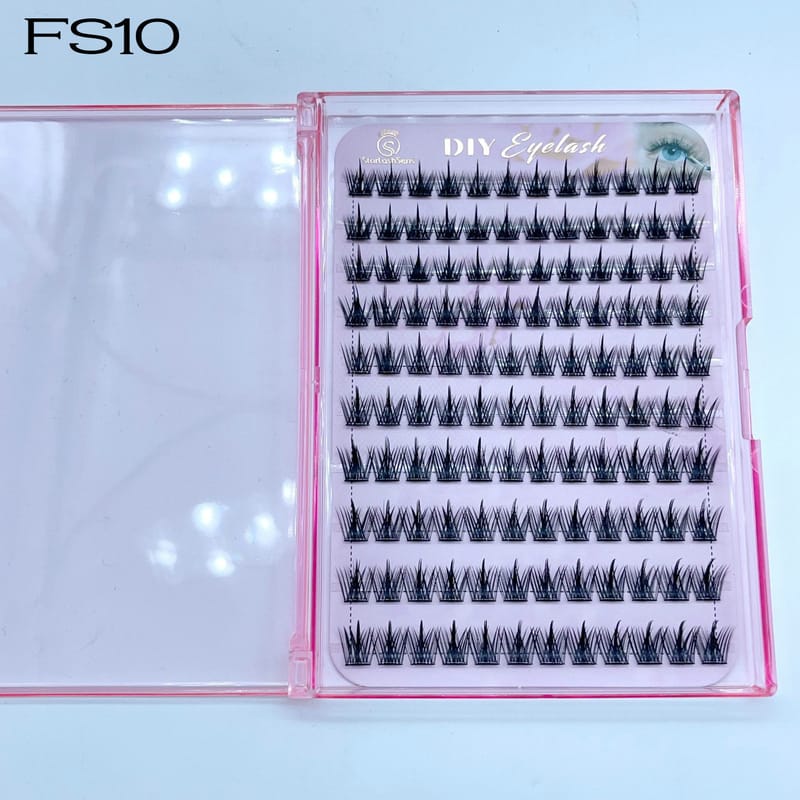 FS10