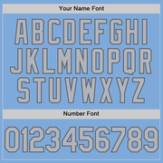 Custom Light Blue Gray-Steel Gray Two-Button Unisex Softball Jersey