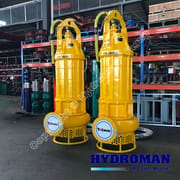 Submersible Slurry Pump with Agitator