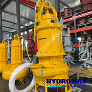 Submersible Slurry Pump with Agitators