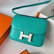 CONSTANCE LIZARD 6W MINT GREEN SILVER HARDWARE PHW 18CM FULL HANDMADE