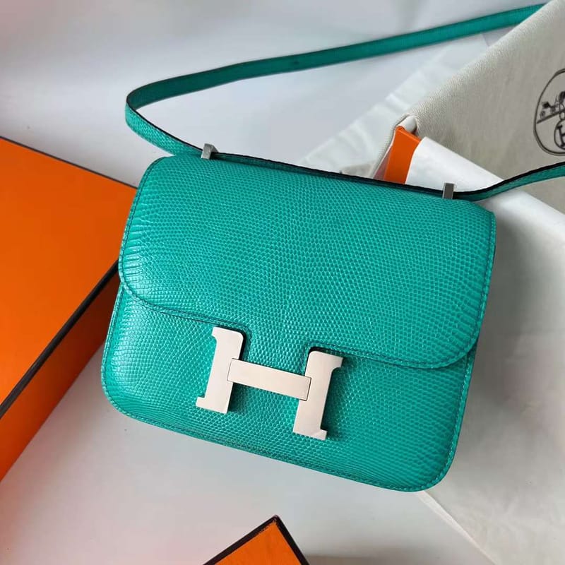 CONSTANCE LIZARD 6W MINT GREEN SILVER HARDWARE PHW 18CM FULL HANDMADE