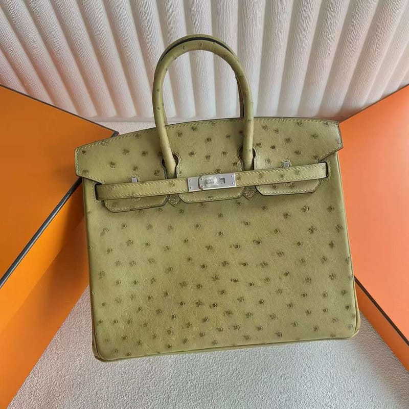 BIRKIN OSTRICH 6G LAWN GREEN SILVER HARDWARE 25CM FULL HANDMADE PHW