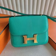 CONSTANCE LIZARD 6W TURQUOISE GREEN GOLD HARDWARE 18CM FULL HANDMADE GHW